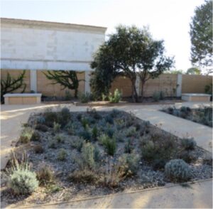Le jardin de pluie «sans arrosage» de Chantegrive
