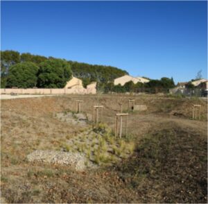 La plantation du bassin apporte un traitement paysager et hydraulique qualitatif