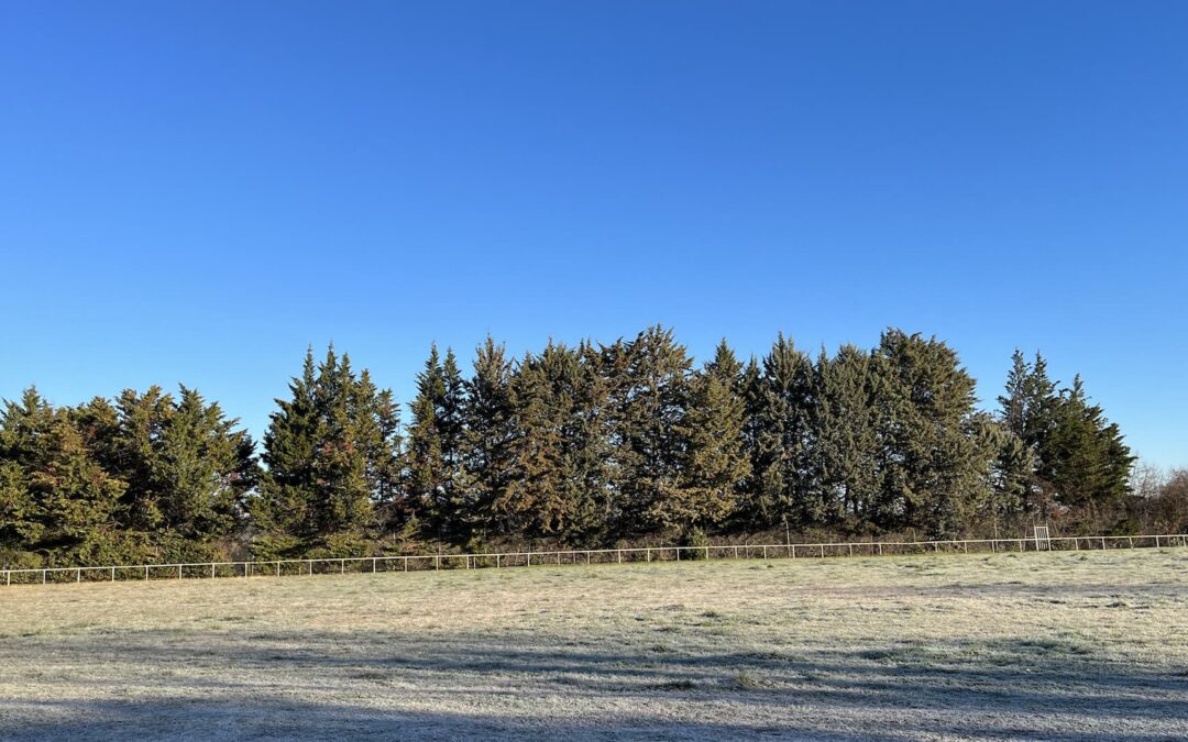 Espace naturel de loisirs – Tornac